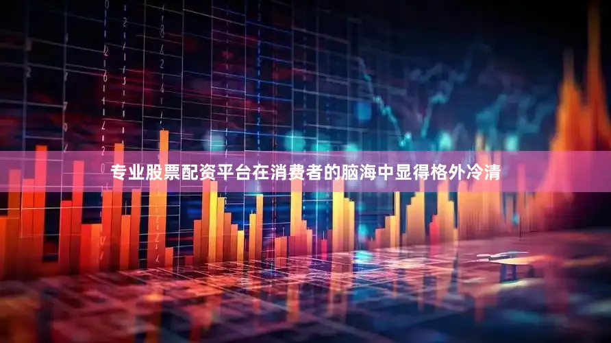 专业股票配资平台在消费者的脑海中显得格外冷清