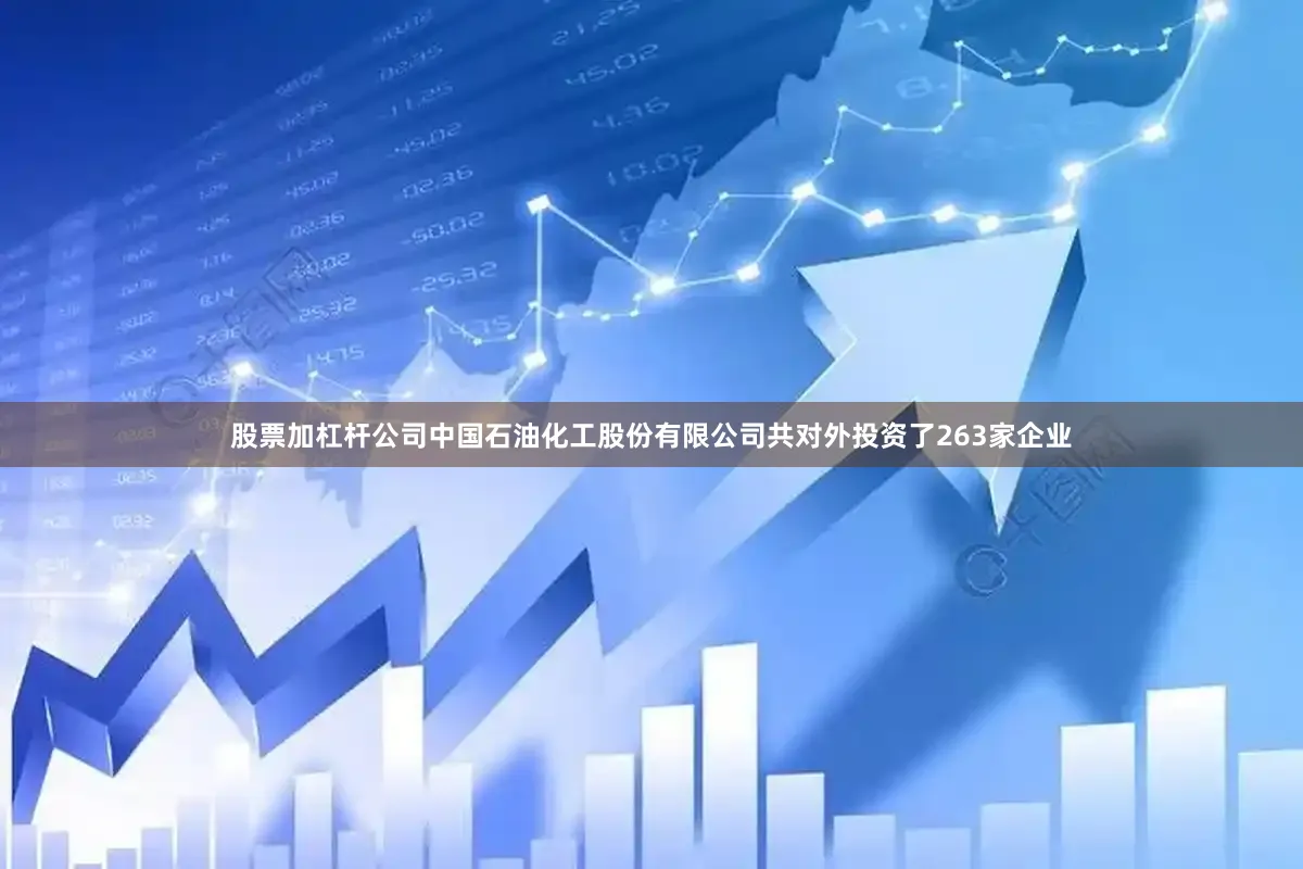 股票加杠杆公司中国石油化工股份有限公司共对外投资了263家企业