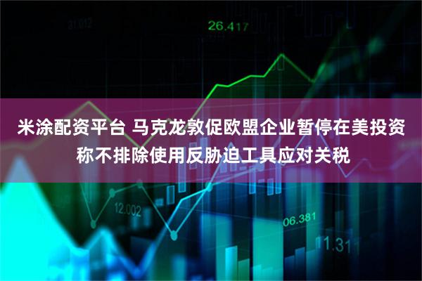 米涂配资平台 马克龙敦促欧盟企业暂停在美投资 称不排除使用反胁迫工具应对关税