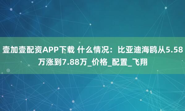 壹加壹配资APP下载 什么情况：比亚迪海鸥从5.58万涨到7.88万_价格_配置_飞翔