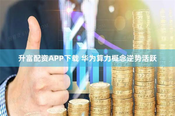 升富配资APP下载 华为算力概念逆势活跃