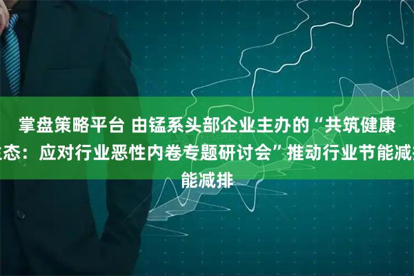 掌盘策略平台 由锰系头部企业主办的“共筑健康生态：应对行业恶性内卷专题研讨会”推动行业节能减排