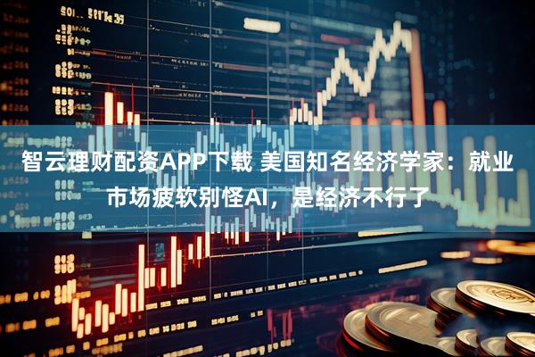 智云理财配资APP下载 美国知名经济学家：就业市场疲软别怪AI，是经济不行了