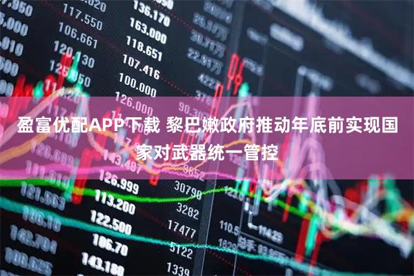 盈富优配APP下载 黎巴嫩政府推动年底前实现国家对武器统一管控