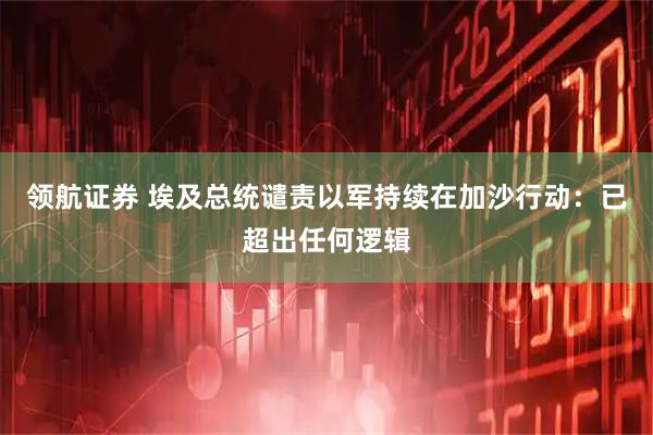 领航证券 埃及总统谴责以军持续在加沙行动：已超出任何逻辑